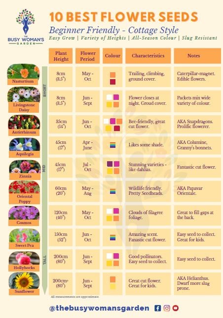 Cover image for 10 Best Flower Seeds Guide