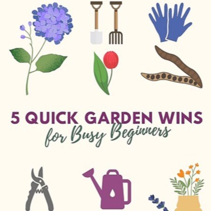 Cover image for 5 Quick Garden Wins