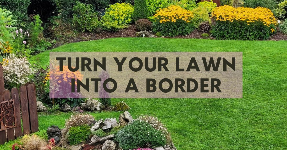 Turn Your Lawn into a Border Step by Step The Busy Woman's Garden